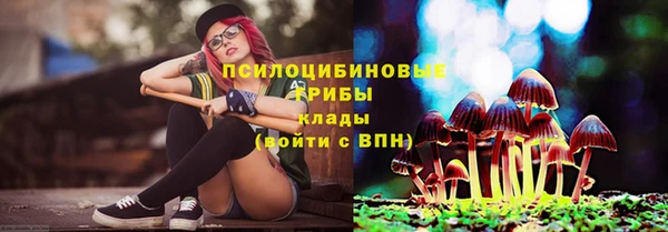 наркотики Алексин