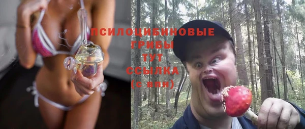 винт Алексеевка
