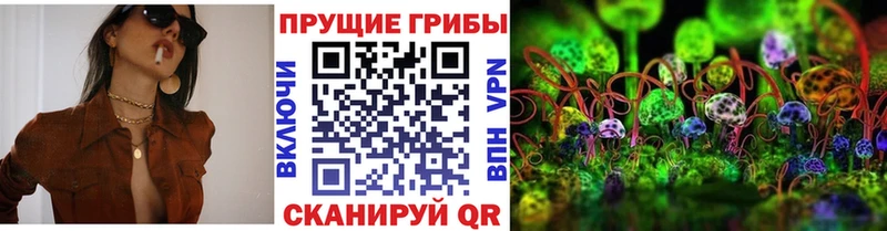 ссылка на мегу зеркало  Чусовой  Галлюциногенные грибы Magic Shrooms 